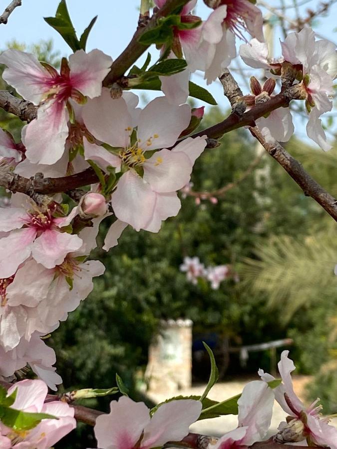 Willa Monte Da Caldeirinha Luz de Tavira Zewnętrze zdjęcie